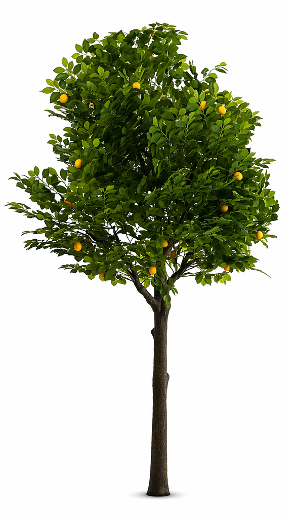 Artificial lemon tree 2.5m (standard)