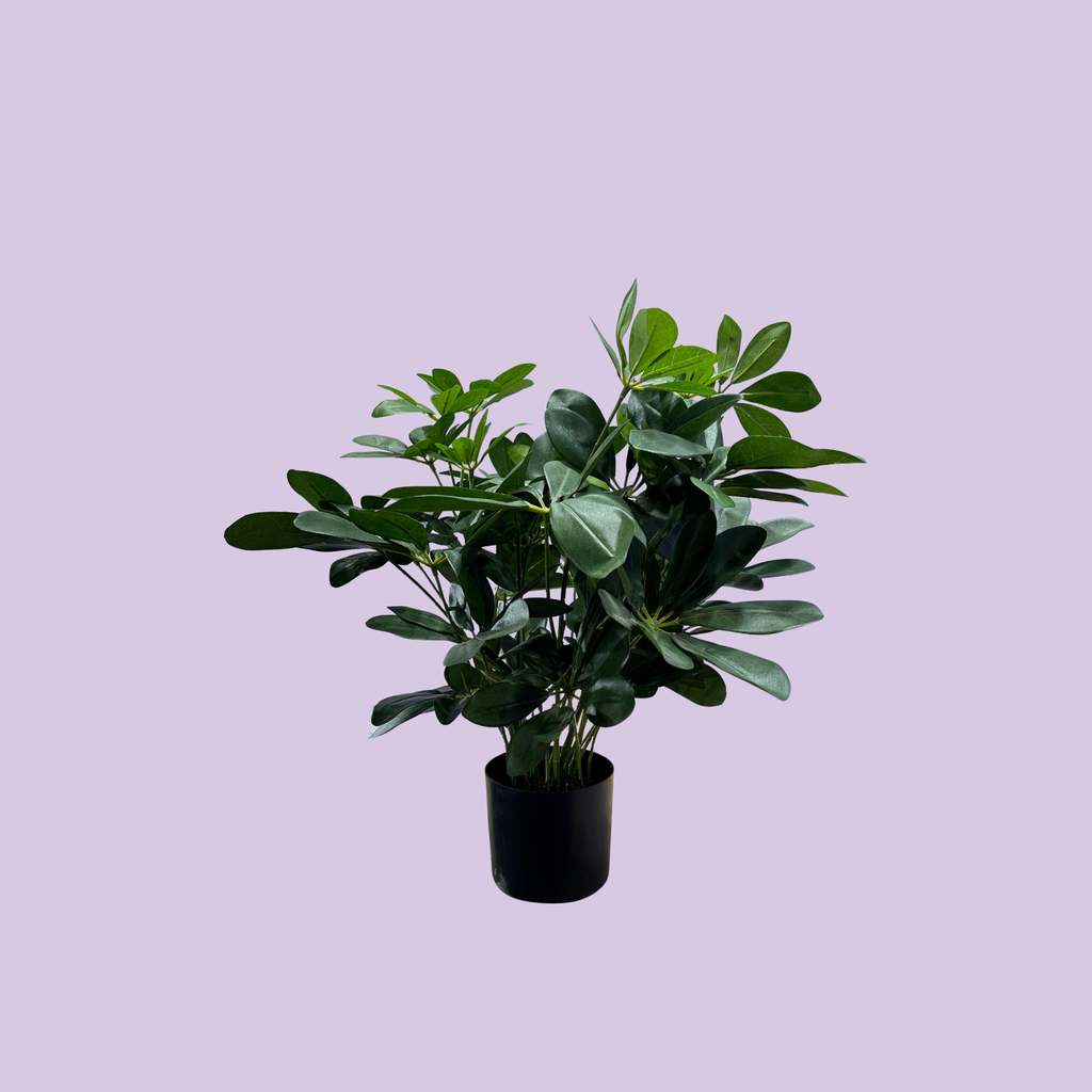 Artificial Baby Schefflera